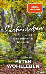 Ein alter Baum mit dicken, moosbedeckten Ästen und grünem Laub im Wald.