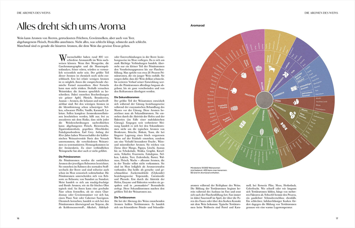 Wein – Die große Schule