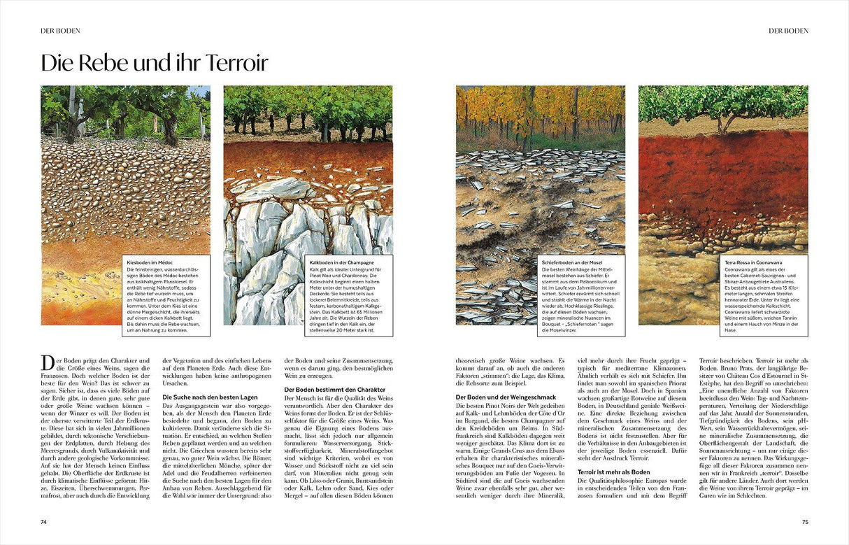 Wein – Die große Schule