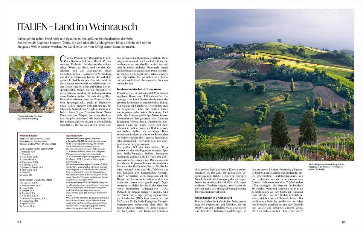 Wein – Die große Schule