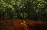 Krokodil schwimmt im Wasser unter grünen Mangrovenbäumen.