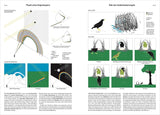 Diagramm und Illustrationen zum Entstehen und Aufbau eines Regenbogens sowie zum Balzverhalten des Seidenlaubenvogels.