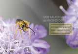 Biene sucht Balkon.