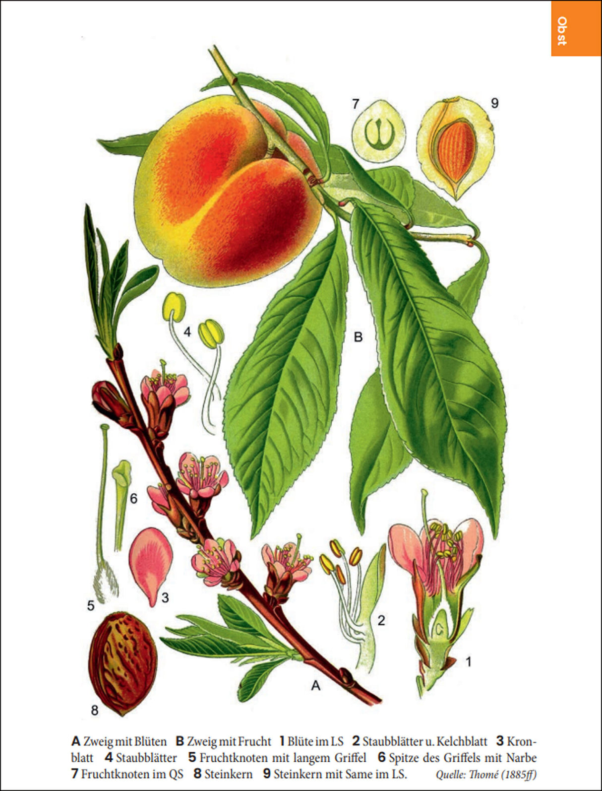 Dr. Oliver Tackenberg: Was wir essen.