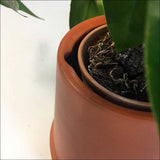 Boskke Flipped Planter