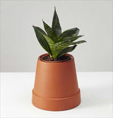 Boskke Flipped Planter