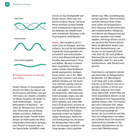 Diagramme von Spiralstrukturen und Textabschnitt über Kollagenfasern im menschlichen Körper.