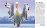 Die Natur in über 5.000 Fotos