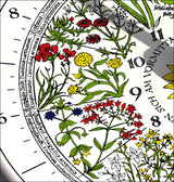 Hora Floris Sonnenuhr