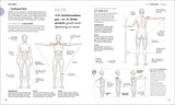 Krafttraining. Die Anatomie verstehen!