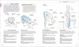 Krafttraining. Die Anatomie verstehen!