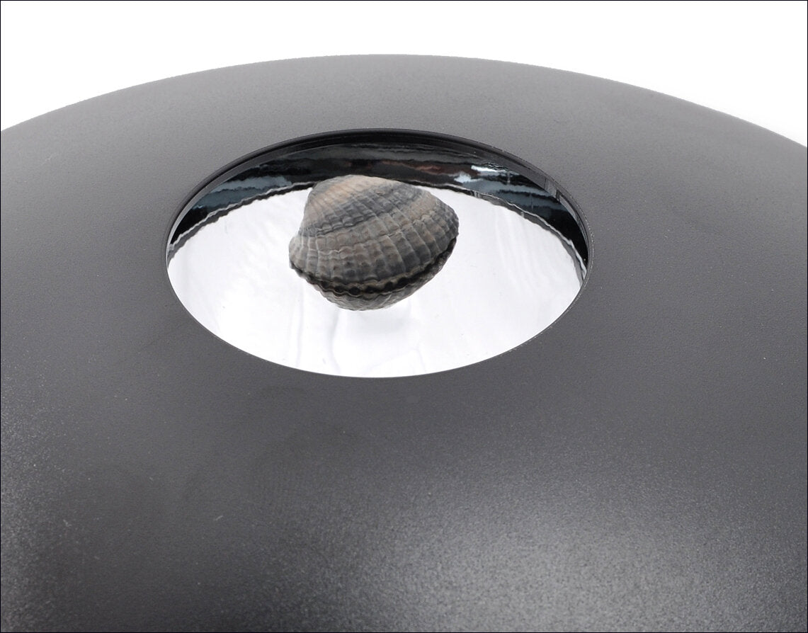 Optische Illusionen und Experimente