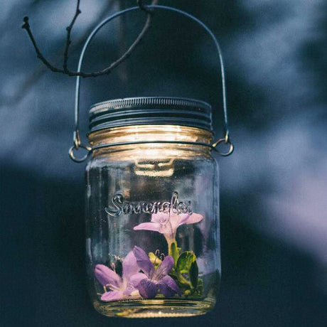 Glas mit Blumen und Pflanzen, mit Metalldeckel und Henkel, vor dunklem Hintergrund.