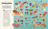 Verschiedene Wirbellosen, darunter Muschel, Seesterne, Kraken, Korallen, Würmer und Krebse, in einer Infografik.