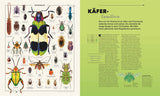 Verschiedene Käferarten, darunter Goliathkäfer, Marienkäfer, Bockkäfer und andere, auf einer Doppelseite.