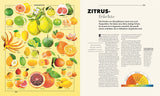 Bunte Illustration verschiedener Zitrusfrüchte, darunter Orangen, Zitronen, Mandarinen und Grapefruit, mit Beschreibungen.