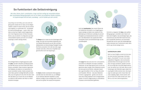 Infografik zur Selbstreinigung des Körpers, mit Illustrationen von Nieren, Lymphsystem, Haut, Lunge und Darm.