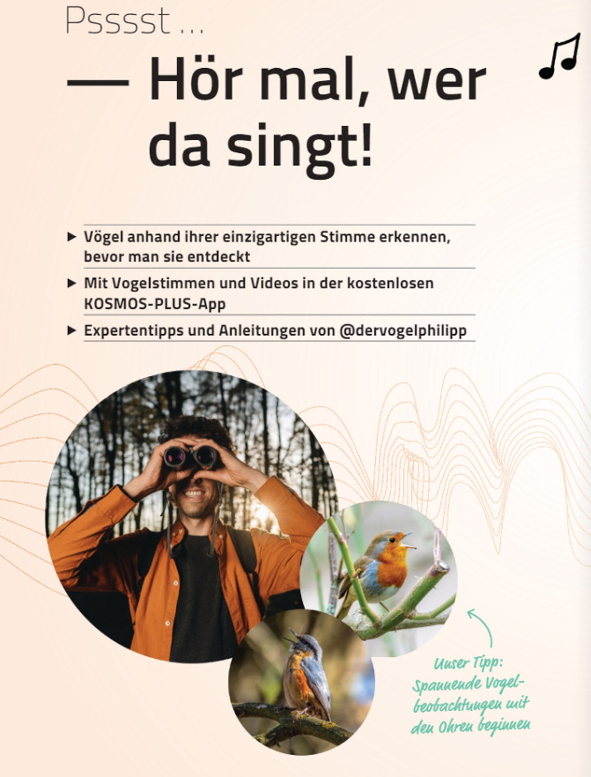 Ein Mann mit Fernglas, zwei kleine Vögel auf Zweigen, Text mit Tipps zum Vogelbeobachten.