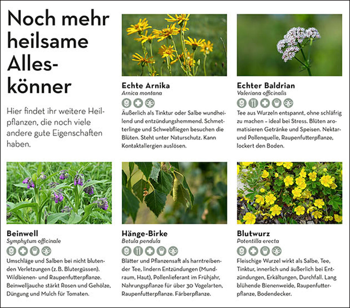 Alleskönner im Garten.