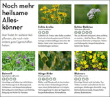 Alleskönner im Garten.