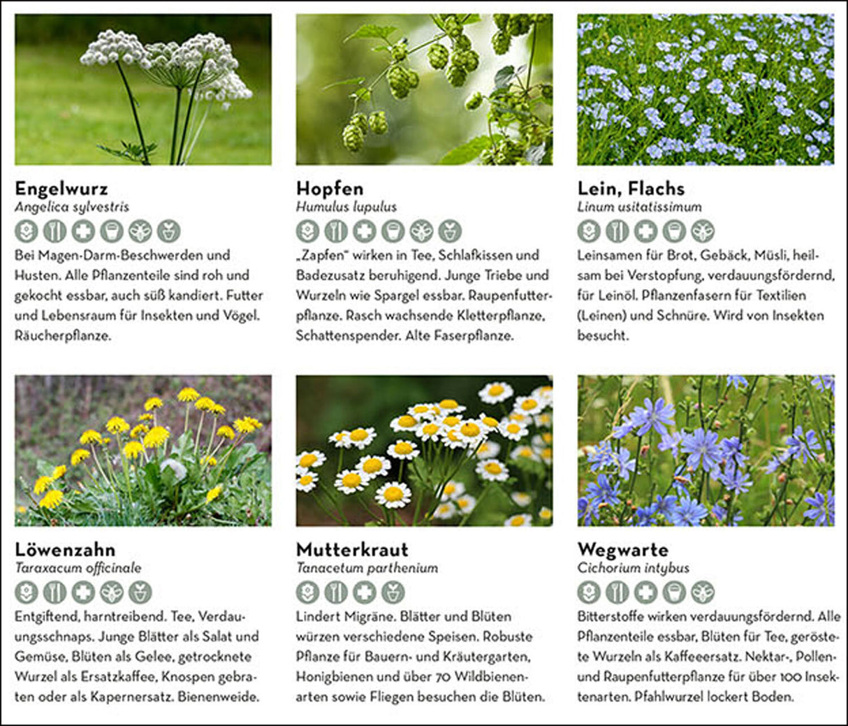 Alleskönner im Garten.