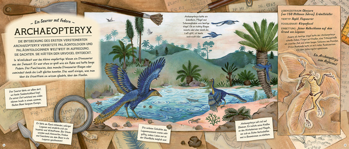 Fossilien – Schätze von Ammoniten bis zum T. Rex.