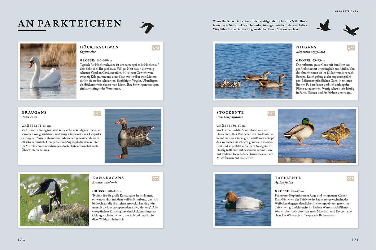 Das Buch der Gartenvögel.