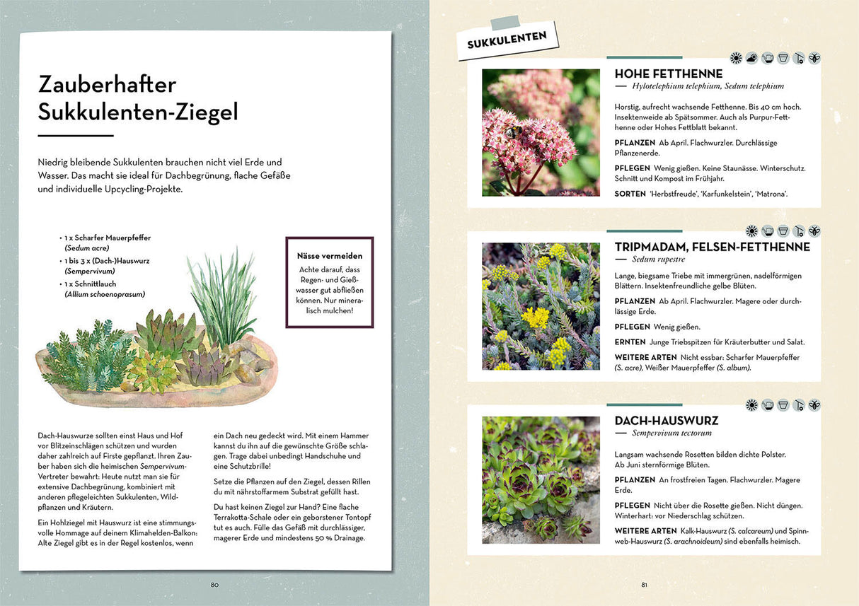 Klimahelden auf dem Balkon.