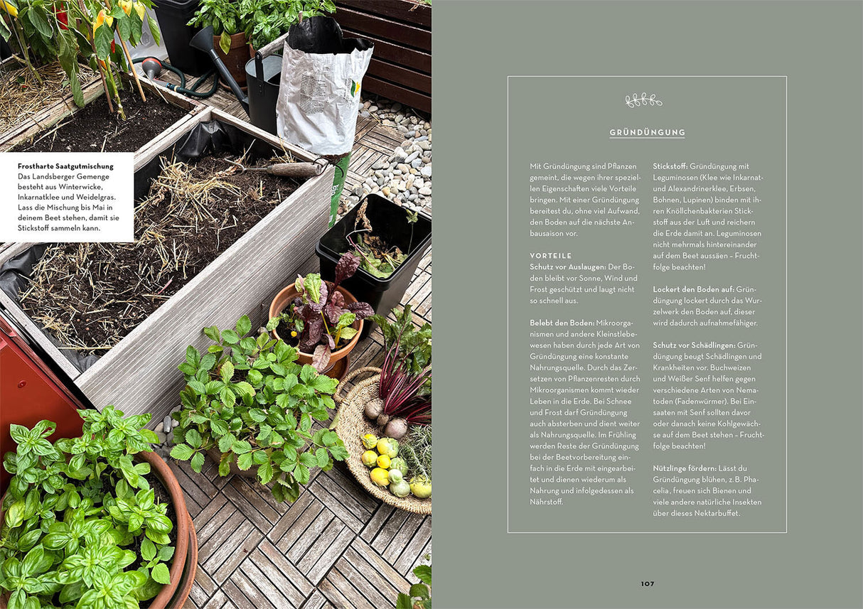 Selbstversorgung aus dem Balkon-Hochbeet.