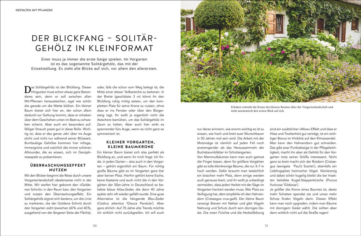 Kleine Vorgarten-Paradiese.