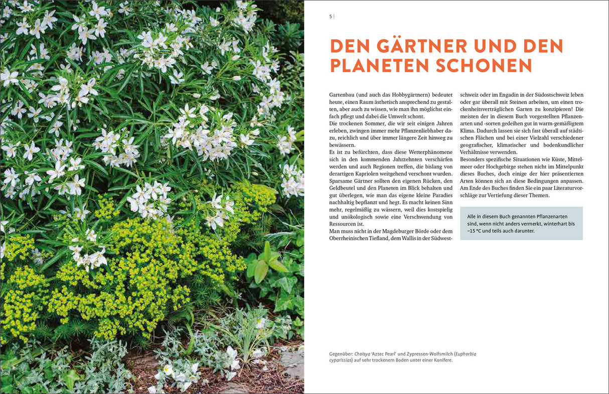 Wächst fast ohne Wasser.