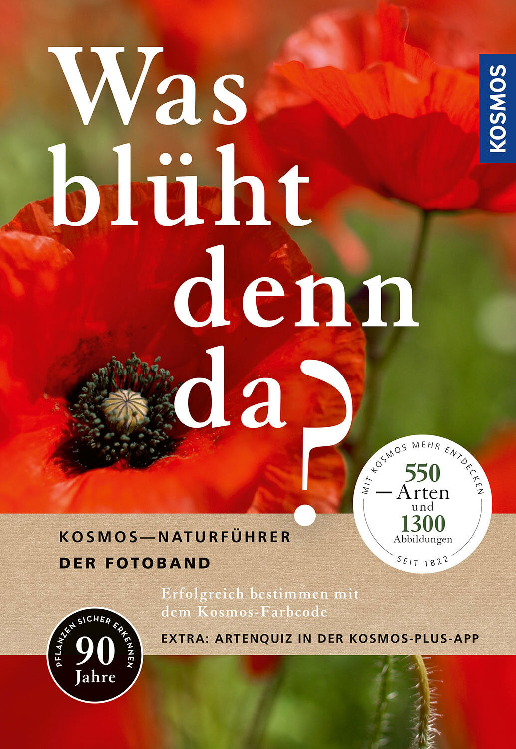 Bunte Mohnblume mit rotem Blütenblatt und schwarzem Zentrum, Hintergrund unscharf grün.