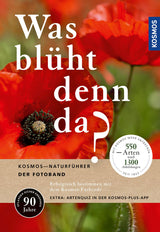 Bunte Mohnblume mit rotem Blütenblatt und schwarzem Zentrum, Hintergrund unscharf grün.
