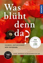 Bunte Mohnblume mit rotem Blütenblatt und schwarzem Zentrum, Hintergrund unscharf grün.